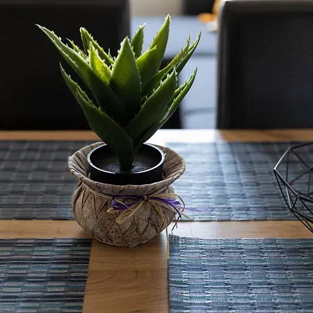Lovely 1bd Flat Near The Sea Garden By Flat Mаnаger 布尔加斯